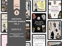 Aesthetic Carousel Bundle with MRR/PLR